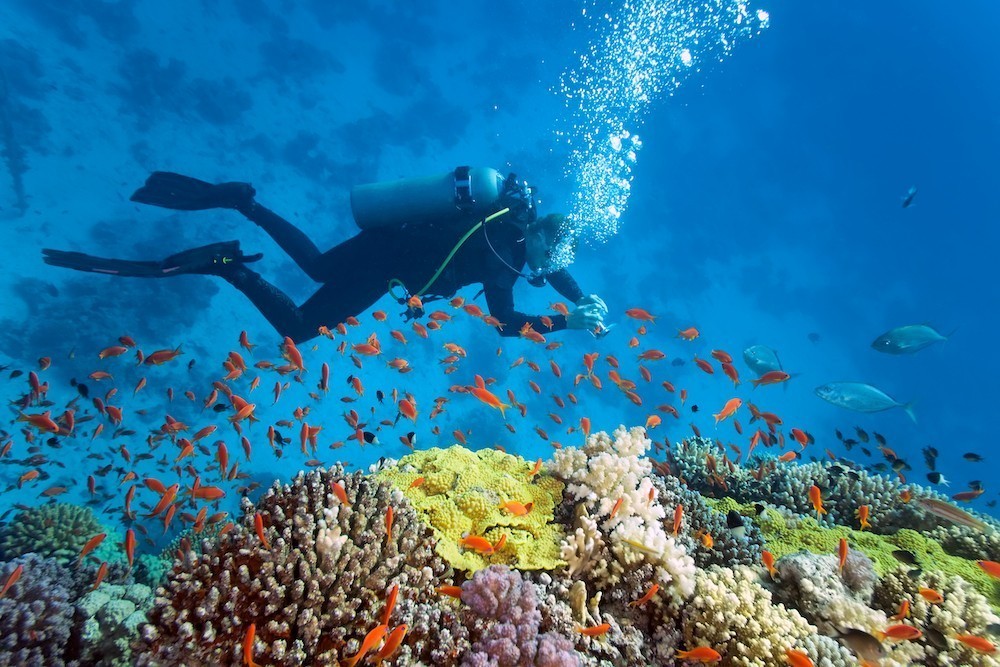 Trouver un club Sports aquatiques